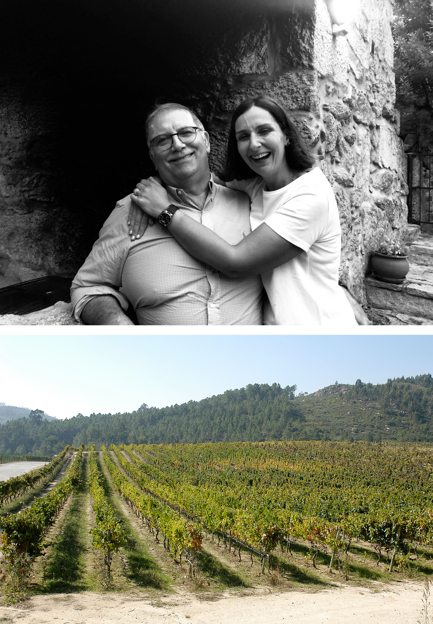 Historia Vinhos Quinta do Mondego Dão Vinho Portugal